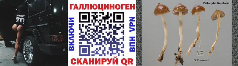 Купить закладки  Заозёрск  Псилоцибиновые грибы Magic Shrooms 